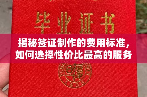 合山揭秘签证制作的费用标准，如何选择性价比最高的服务？